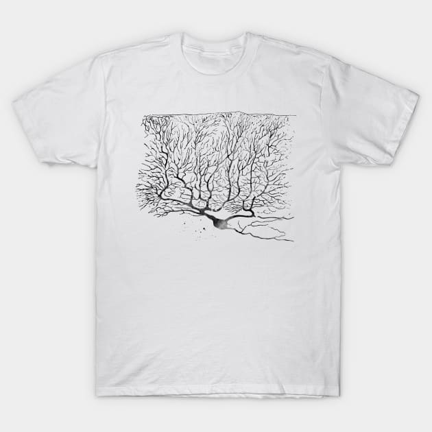 Purkinje Neuron T-Shirt by erzebeth